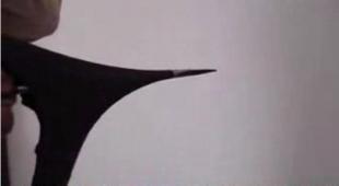 建筑建材領(lǐng)域技術(shù)轉(zhuǎn)讓與開(kāi)發(fā) 引氣劑、外墻彈性膩?zhàn)臃?、水泥脫模劑?yīng)用前景